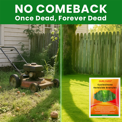 Enjoy 30% OFF for adding the second one🧡