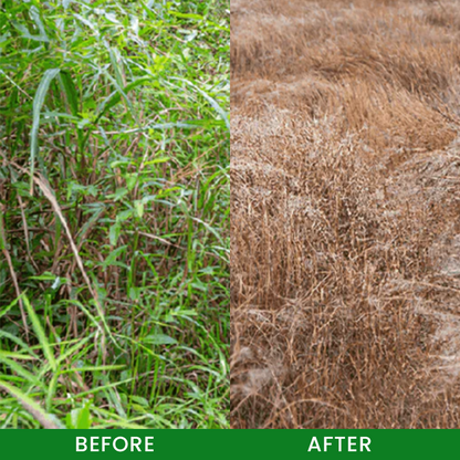 Enjoy 30% OFF for adding the second one🧡