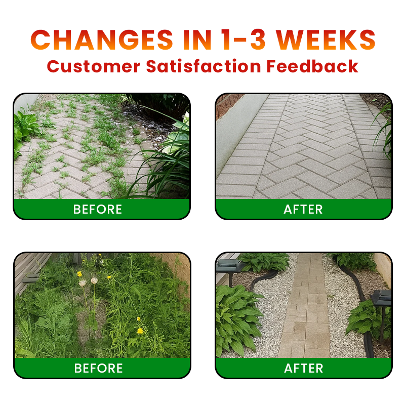 🌲Ourlyard® Cyclosinone Herbicide Granules