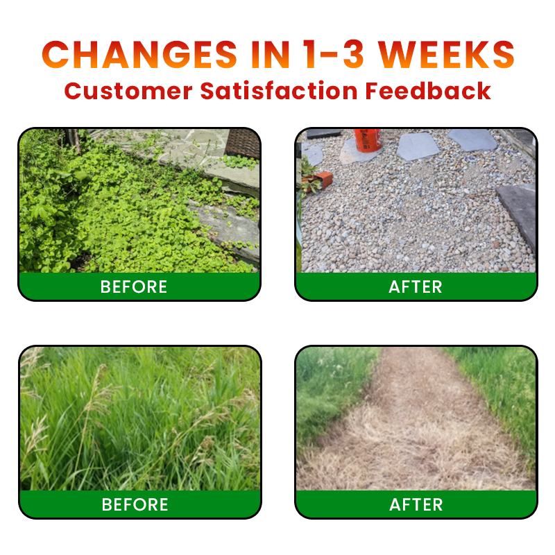 Enjoy 30% OFF for adding the second one🧡