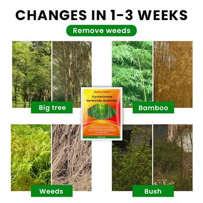 🌲Ourlyard® Cyclosinone Herbicide Granules