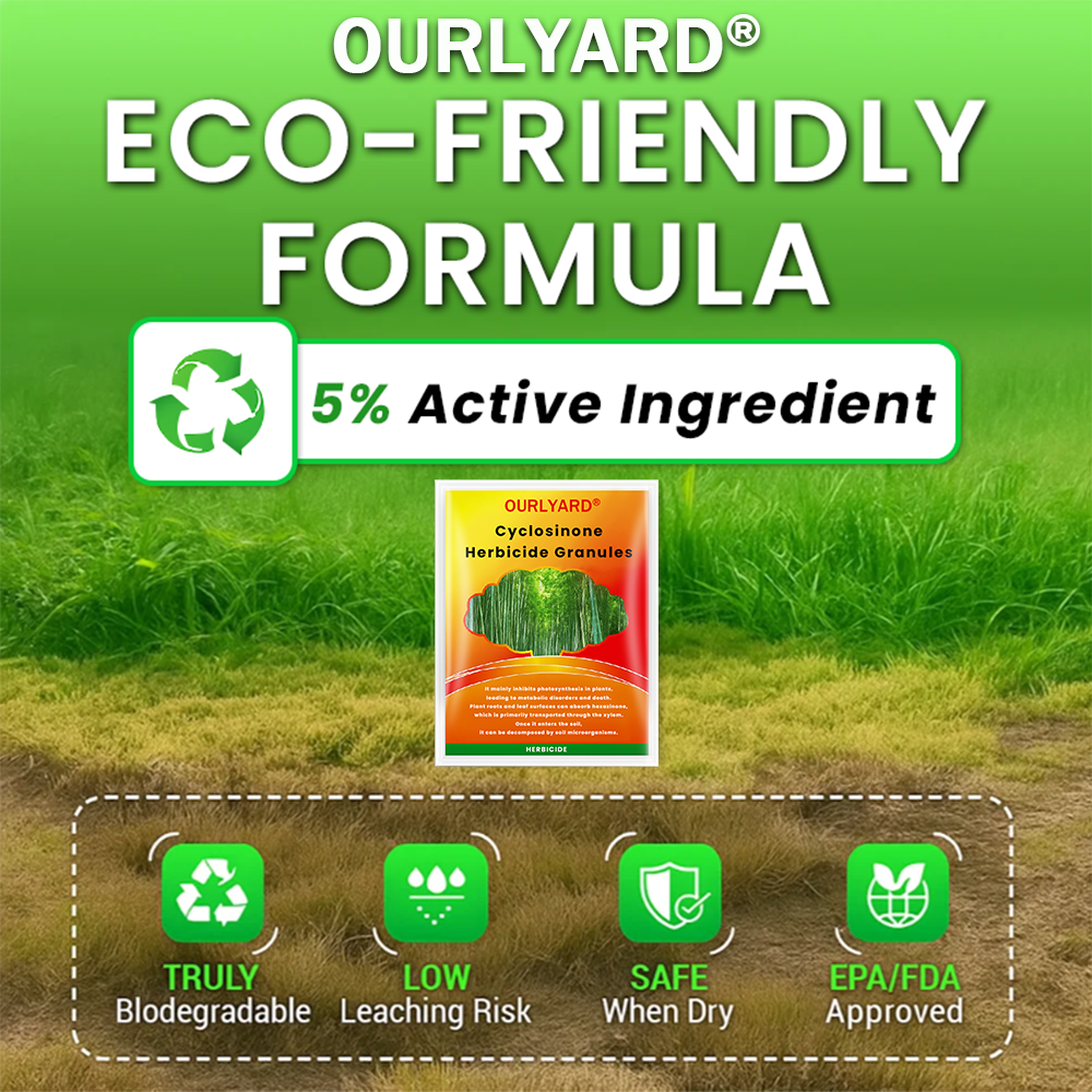 🌲Ourlyard® Cyclosinone Herbicide Granules